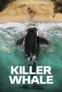 Killer Whale (2026)